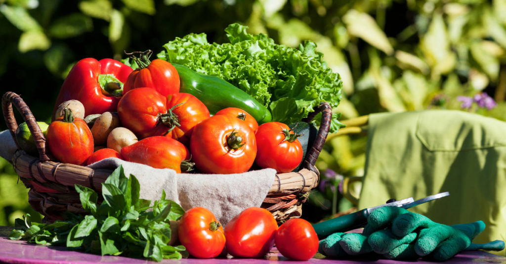 Plant-Based Diet Benefits